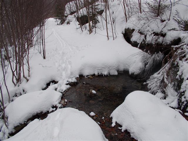 Small obstacle on Sec 2 water